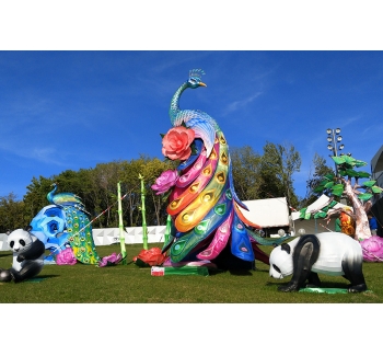 孔雀与熊猫彩灯